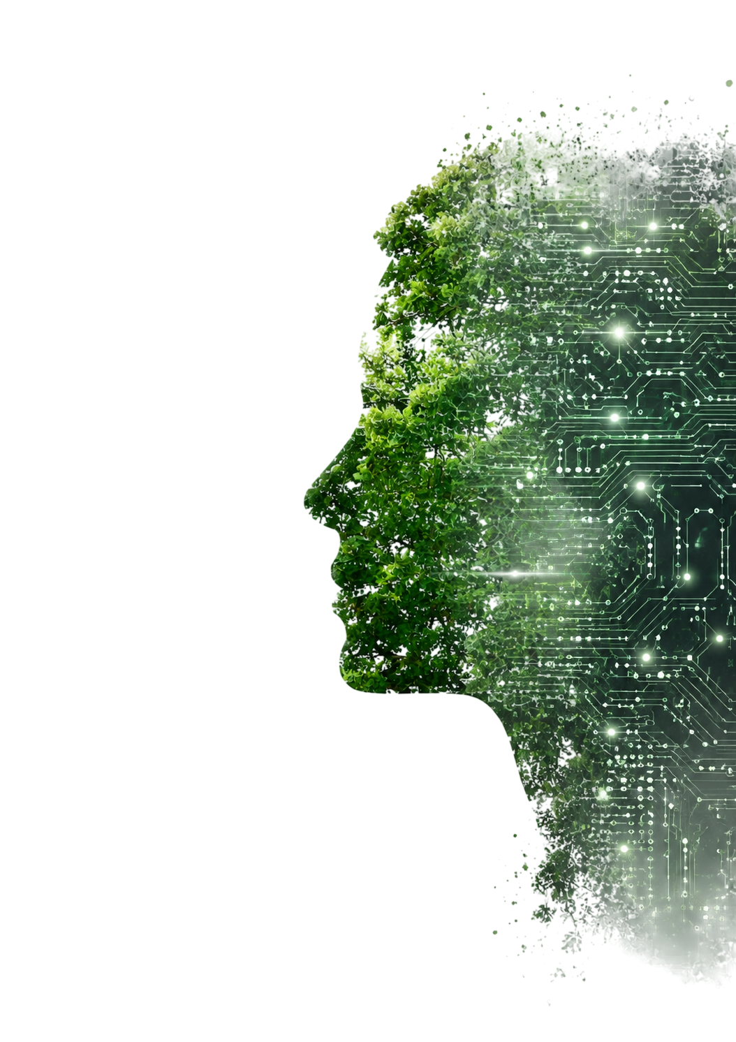 Carbonless AI